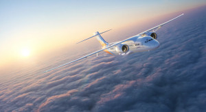 Lotnictwo stawia na zrównoważony rozwój. Pomysł na nowe skrzydła samolotów podpowiedziała... natura