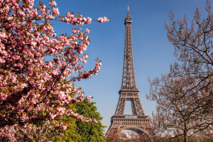 Oto 10 najpiękniej pachnących miast w Europie. Królestwa kwiaciarni, piekarni i perfumerii