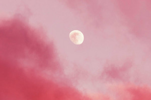 Pełnia Księżyca w kwietniu 2024: Na niebie pojawi się "Różowy Księżyc" i przebiegły Skorpion / Unsplash, J Lee