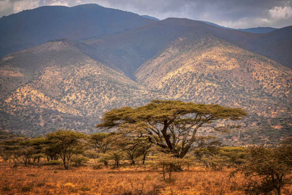 Tanzania - un paese dell'Africa orientale / Unsplash, Mariola Grobelska