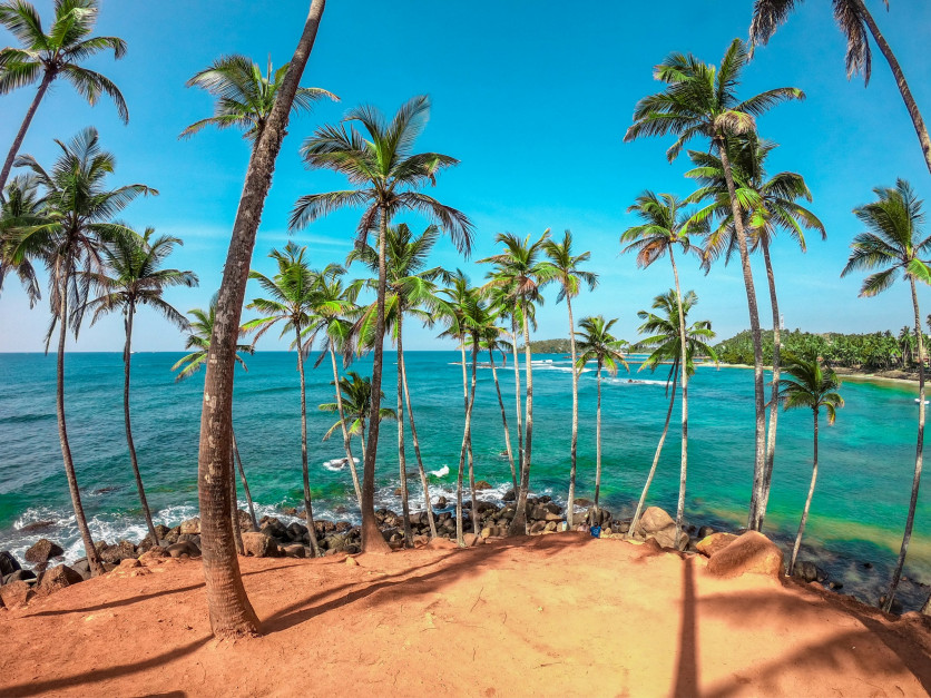 Coconut Tree Hill Rd, Mirissa, Sri Lanka / Unsplash, Dinuka Lankaloka