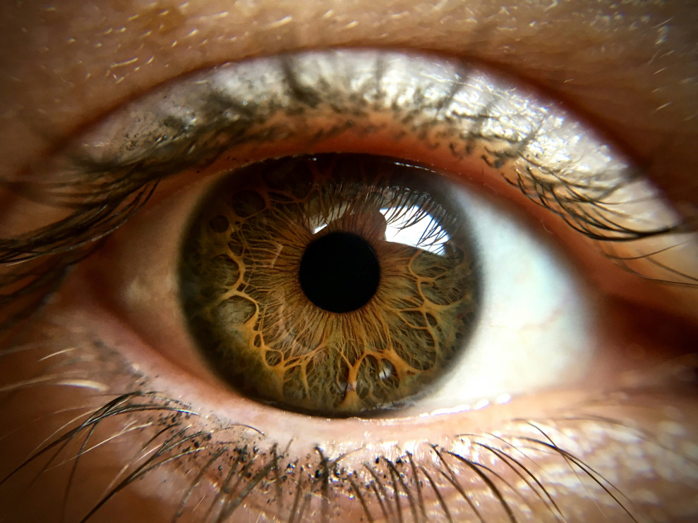 Hazel eyes/photo Unsplash by Matya Molnár-Sásek