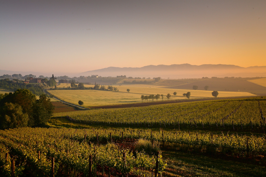 Malerische Landschaften der Toskana / Shutterstock