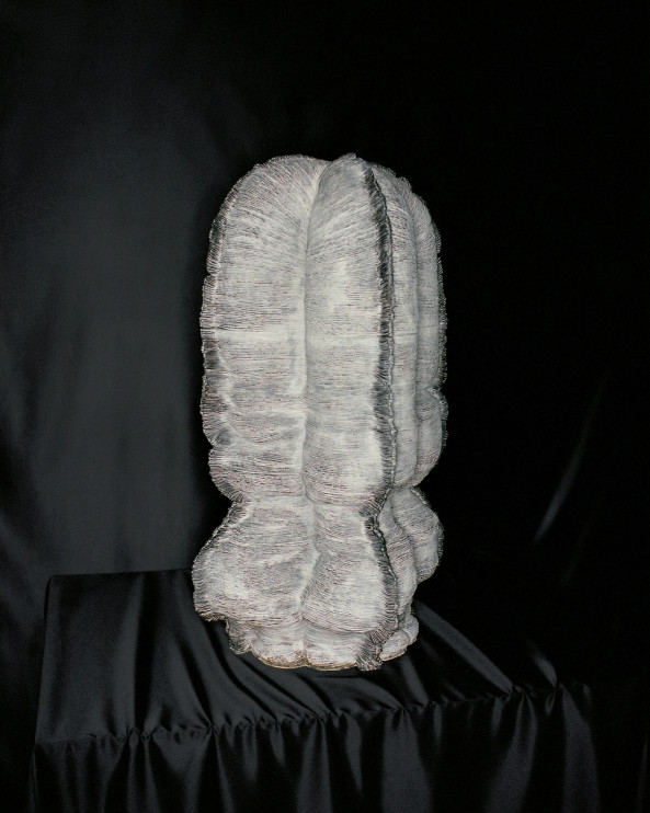 The Realm of Living Beings - Object 19 - Kunimasa Aoki - 2024 / Loewe Foundation press materials