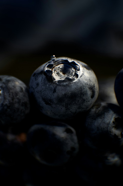 Berries/photo Unsplash Maksym Sirman