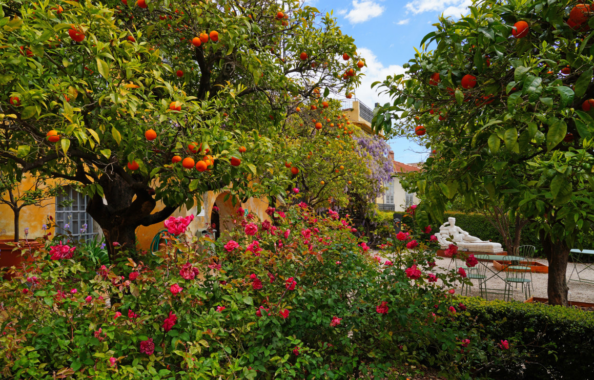 Os jardins perfumados de Grasse / Shutterstock
