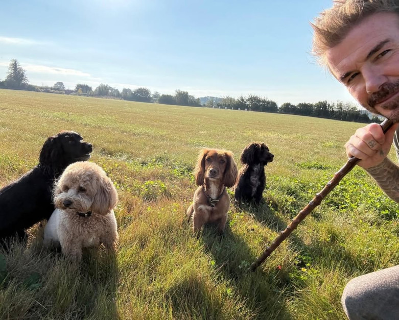 David Beckham / foto: Instagram, @davidbeckham