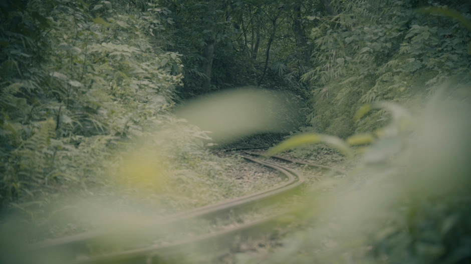 Quem é o dono do Trem Dourado? / Foto: Unsplash, Arindam Biswas