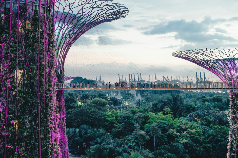 Singapur'daki Gardens by the Bay - 2025'te dünyanın en pahalı şehri / Unsplash, Annie Spratt