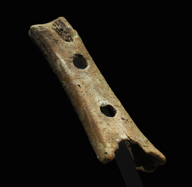 Petar Milošević, Flute from Divje Babe / Wikimedia Commons, CC 4.0 BY-SA