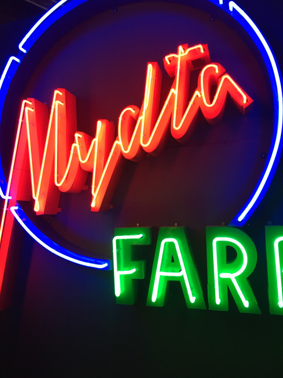 The Neon Museum in Warsaw moved to the Palace of Culture and Science / photo: private archive