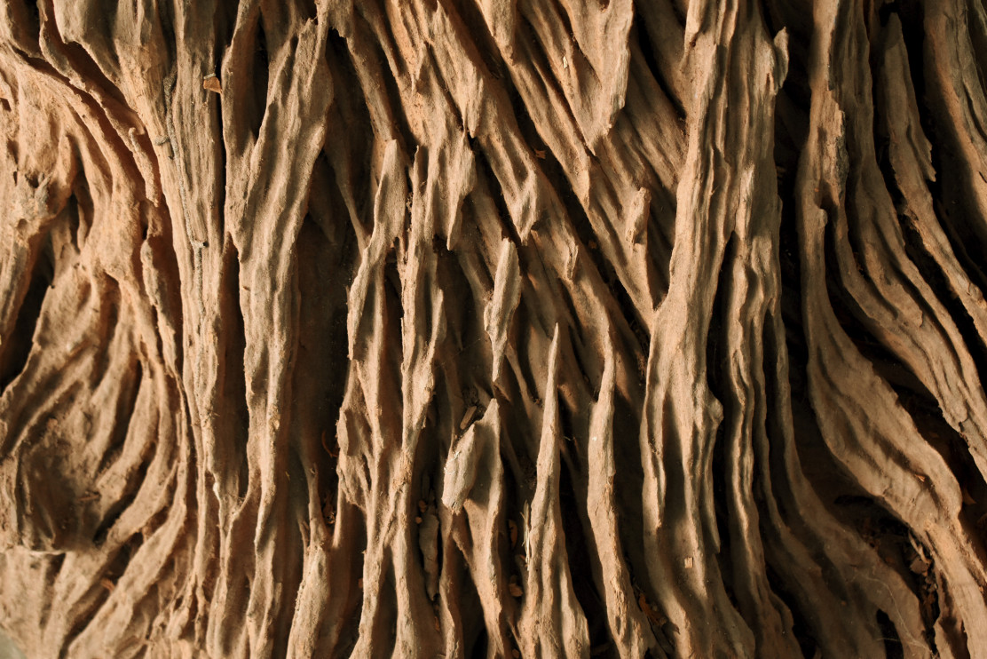Oud - one of the most luxurious and mysterious scents in the world of perfume / SONTAYA CHAISAMUTR / Shutterstock