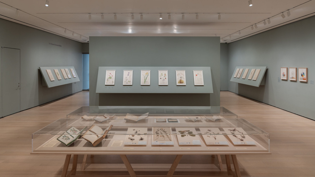 Hilma af Klint: What Stands Behind the Flowers exhibition at the Museum of Modern Art / MoMA press materials, photo: Jonathan Dorado