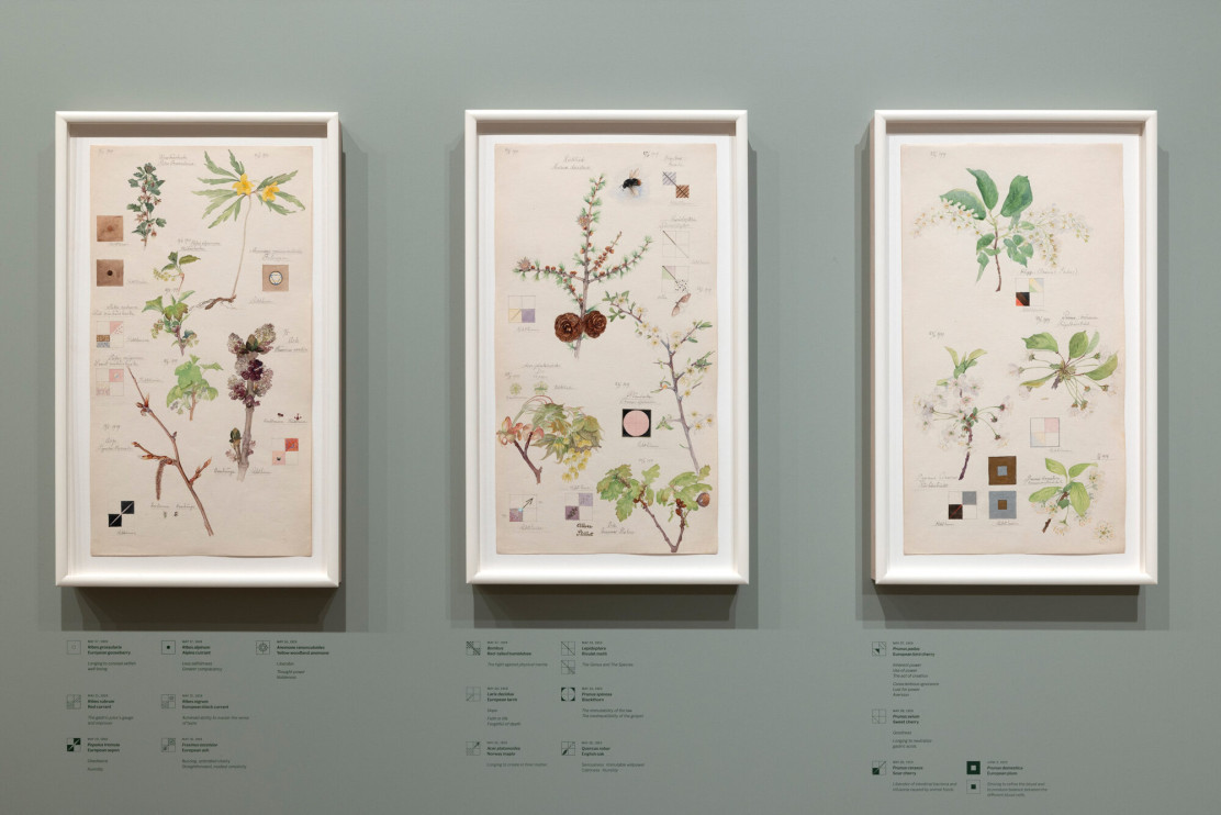 Hilma af Klint: What Stands Behind the Flowers exhibition at the Museum of Modern Art / MoMA press materials, photo: Robert Gerhardt
