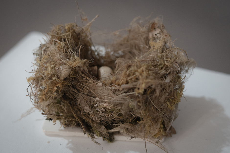 O Ninho, uma obra de arte de Jessica Ostrowicz / materiais de imprensa Op Enheim