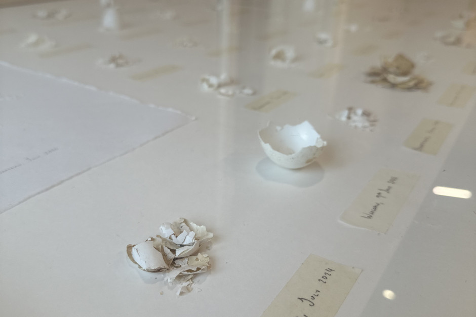 A exposição