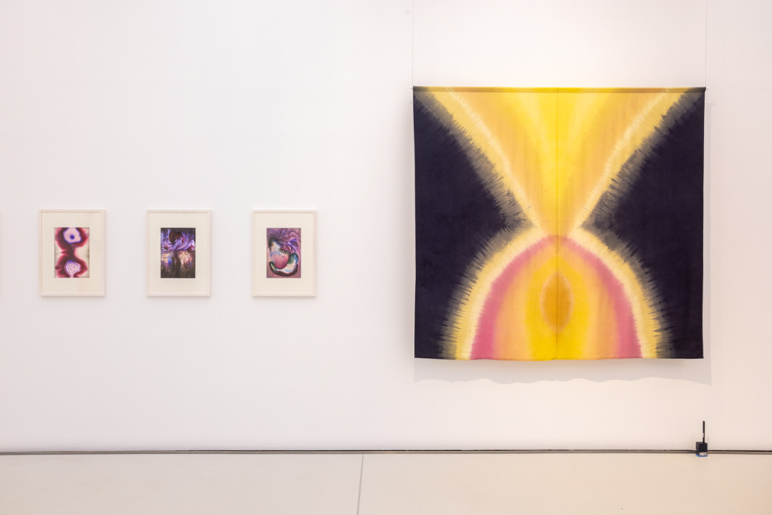 “Dreaming of Remedy”, works by Ewelina Skowrońska at the East–East exhibition | photo: Manggha Museum press materials