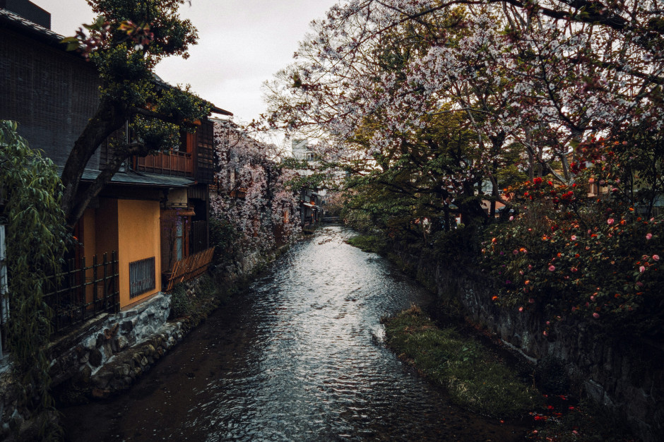Abandoned houses in Japan can actually be bought for pennies / Andrea De Santis / Unsplash