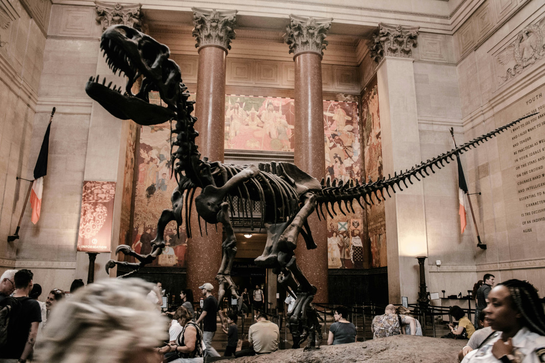 American Museum of Natural History – New York, USA / Unsplash, Aditya Vyas