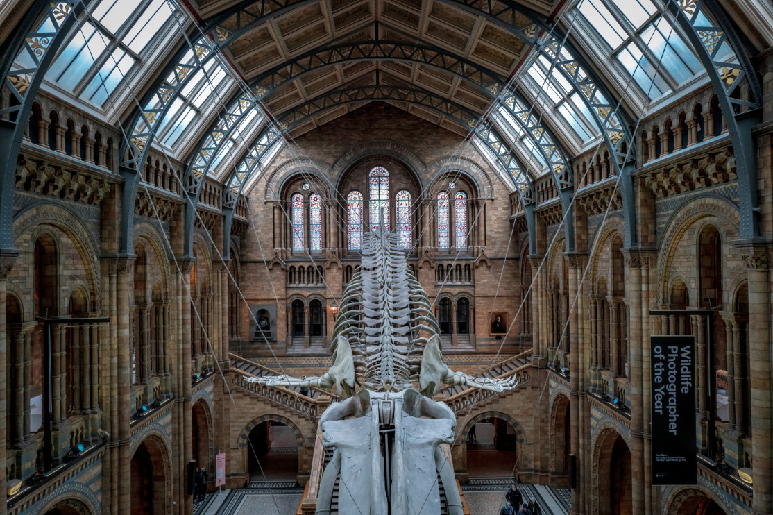 Natural History Museum – London, England / Photo: Unsplash, Sung Jin Cho