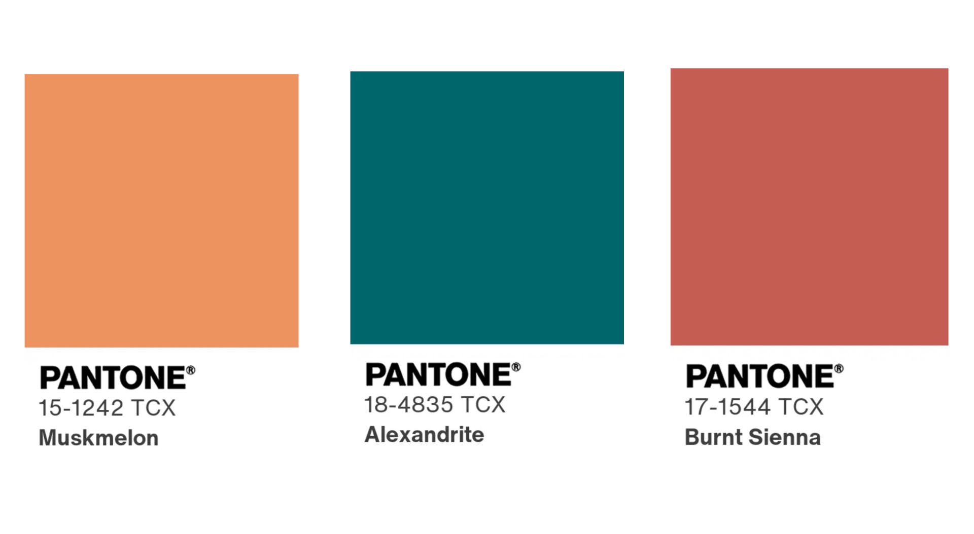 Tendenze colore per la primavera e l'estate 2026 secondo Pantone / foto: Pantone Institute