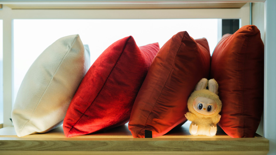 Labubu, or the Pop Mart toy, has taken over the world. Photo: David Kristianto / Unsplash
