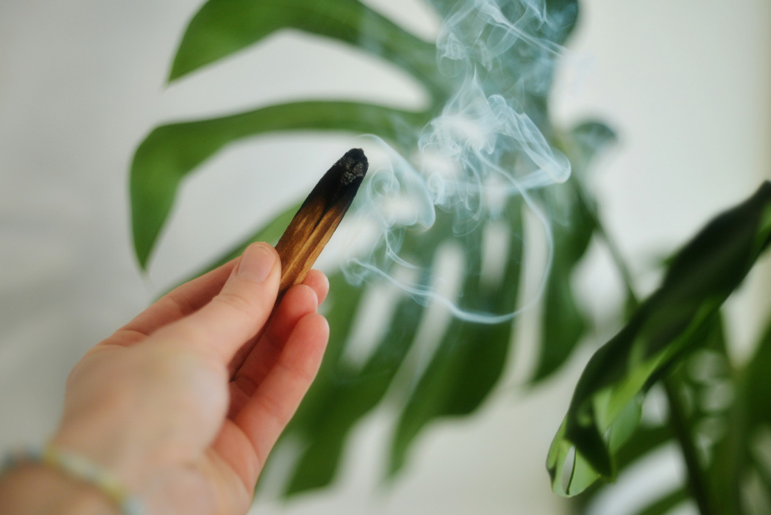 Palo Santo/foto Unsplash, Liana S