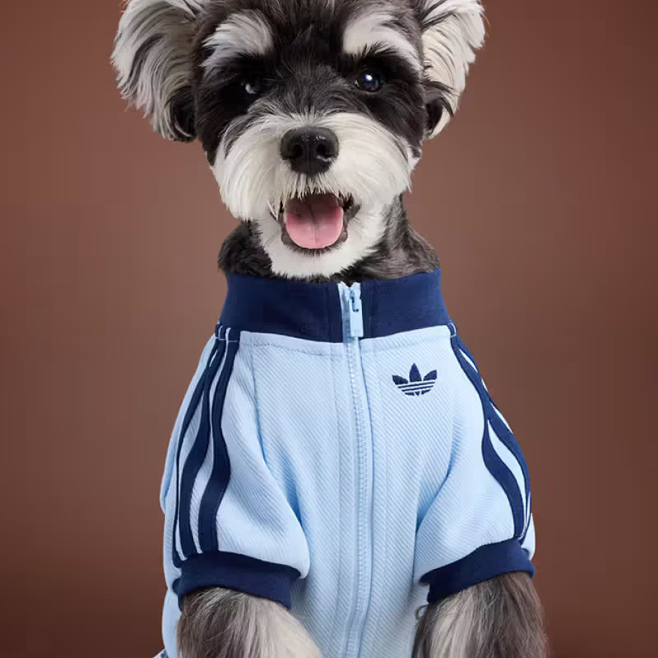 Collezione limitata Adidas Pet Autunno 2025 Licenza: Materiali stampa / Adidas