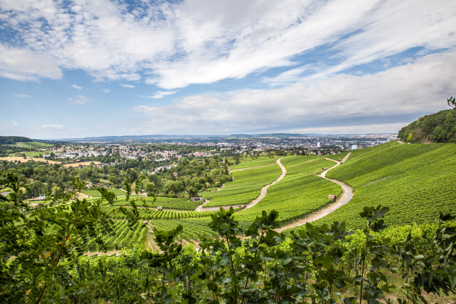 Heilbronn, European Green Capital 2027 License: Markus Zeller / Shutterstock