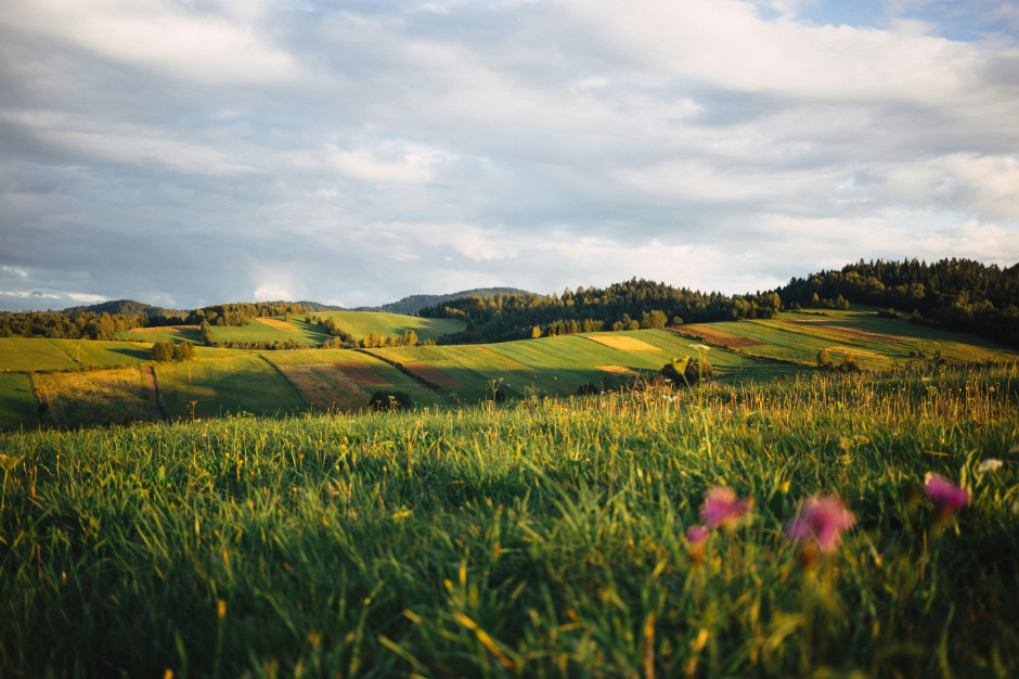 Sélection des merveilles polonaises 2025. Photo : freestocks / Unsplash