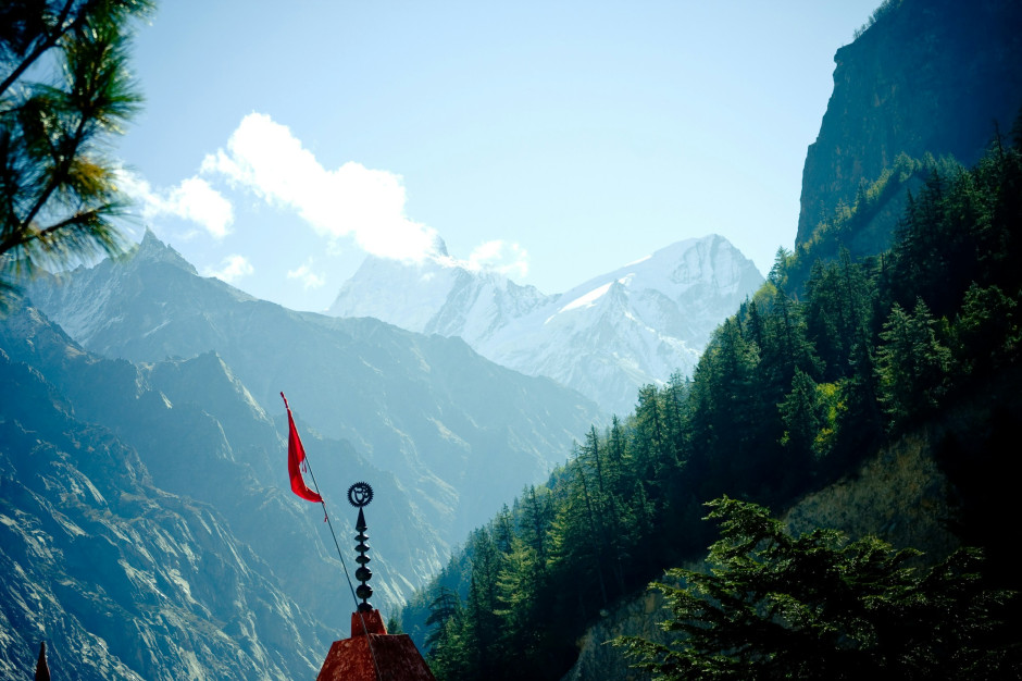 Forest in the valley, Himalayas License: Raimond Klavins / Unsplash